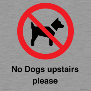 No Dogs upstairs please 